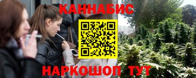 дмт Камышлов
