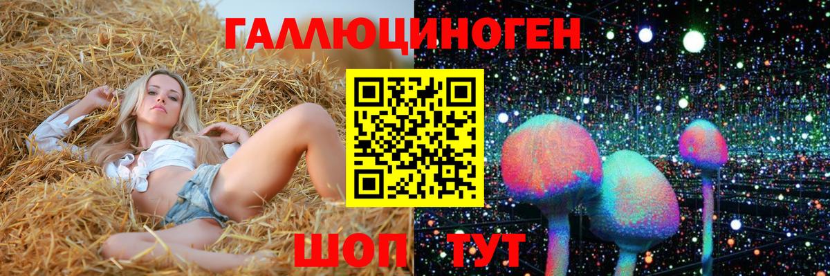 Коммунар  что такое наркотик  Вход с VPN  Галлюциногенные грибы Cubensis 
