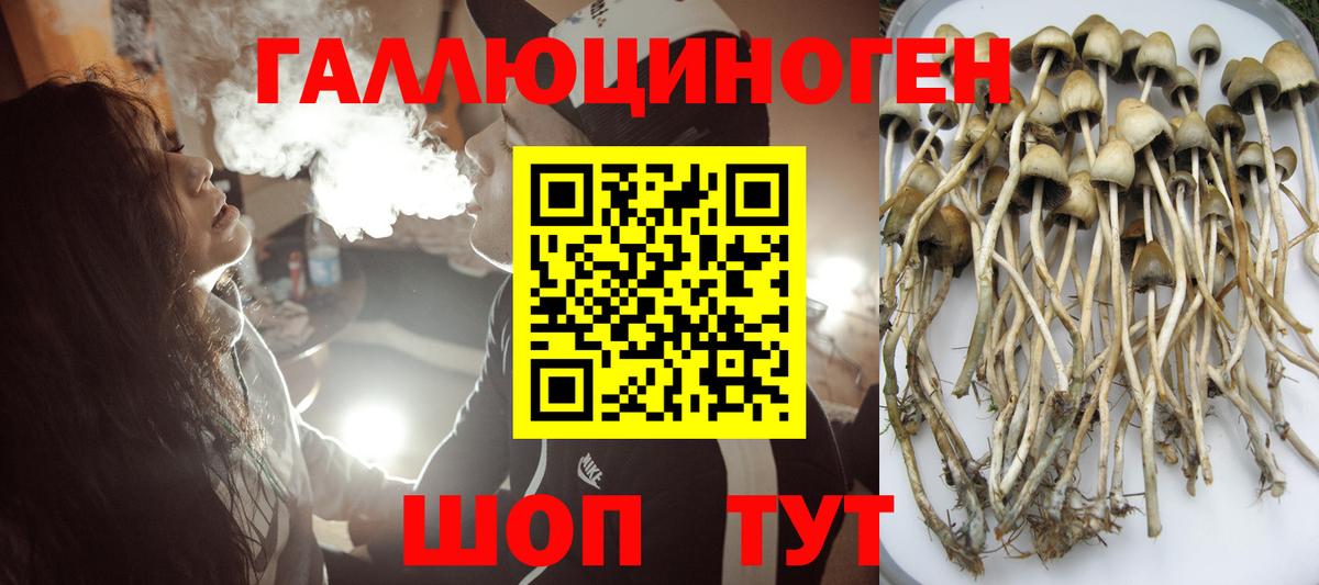 МЕФ Коммунар