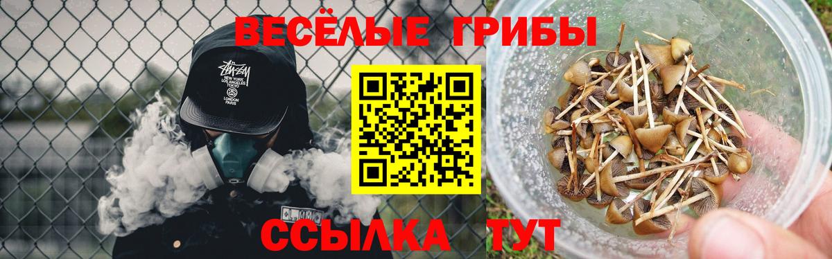 Псилоцибиновые грибы MAGIC MUSHROOMS Коммунар